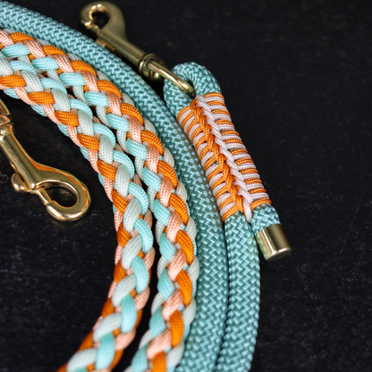 Paracord/Tau Leine in Mojito und Apricot