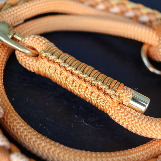 Paracord/Tau Leine in Apricot und Amber